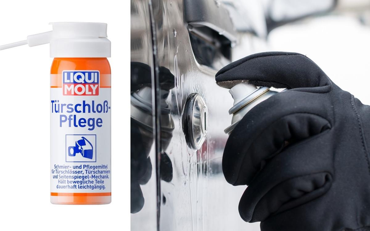 Liqui Moly Turschloss-Pflege