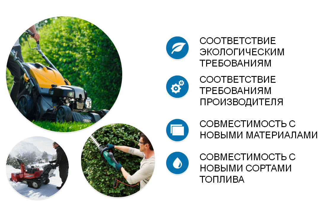 programs21